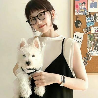 羊城暗哨